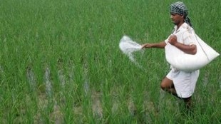 The total fertiliser bill for the current financial year is pegged at Rs 79,530 crore, against Rs 1.28 lakh crore, with urea being the most commonly used and the most subsidised fertiliser.