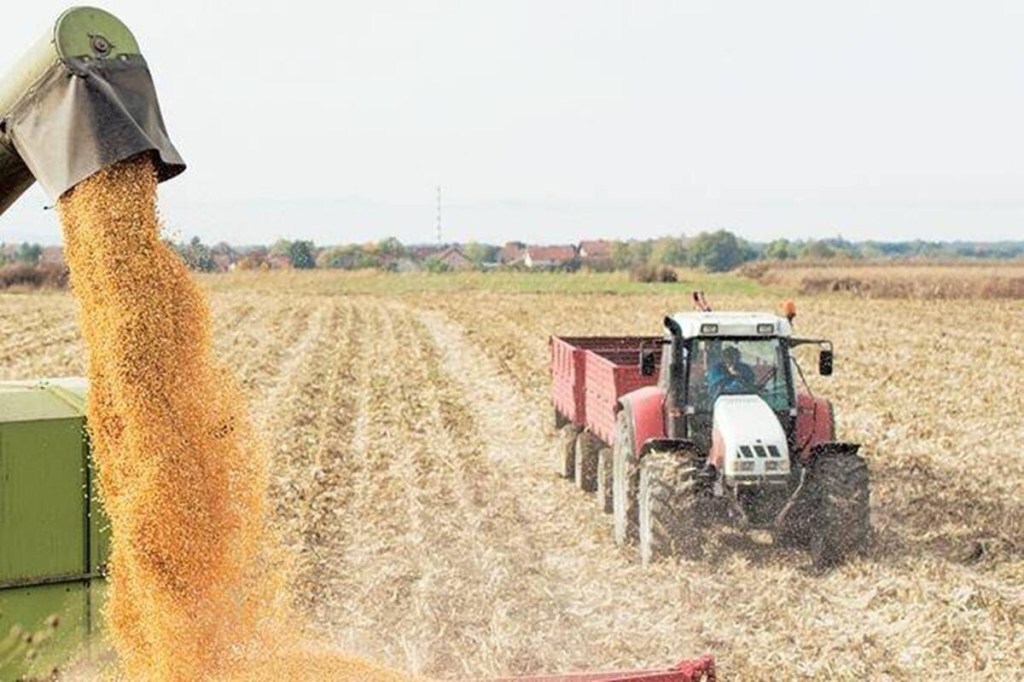 However, our main concern with the surging rice and sugar exports is on the sustainability front.