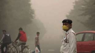 The Delhi government had experimented with the solution, prepared by IARI scientists, last year and had also got a survey done by the Development Department to ascertain its effectiveness.