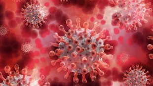 “The [number of] samples sequenced by labs of INSACOG consortium also depends on the samples sent by the respective states,” the government said.