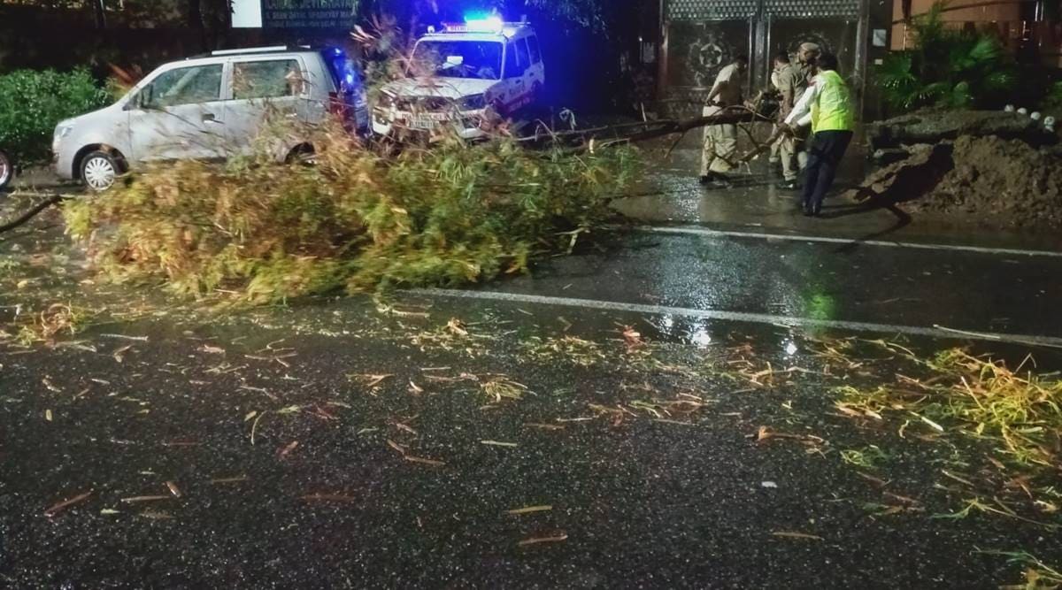 New Delhi rains, monsoon sat north india, monsoon at haryana, uttrapradesh, southwest monsson, monsoon rains in India, Delhi weather conditions, IMD