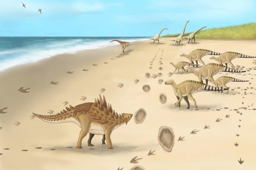 The footprints are believed to be of various species of dinosaurs, and this indicates that southern England at the end of the Early Cretaceous period had a high diversity of dinosaurs. 
 Image: IE/ Megan Jacobs