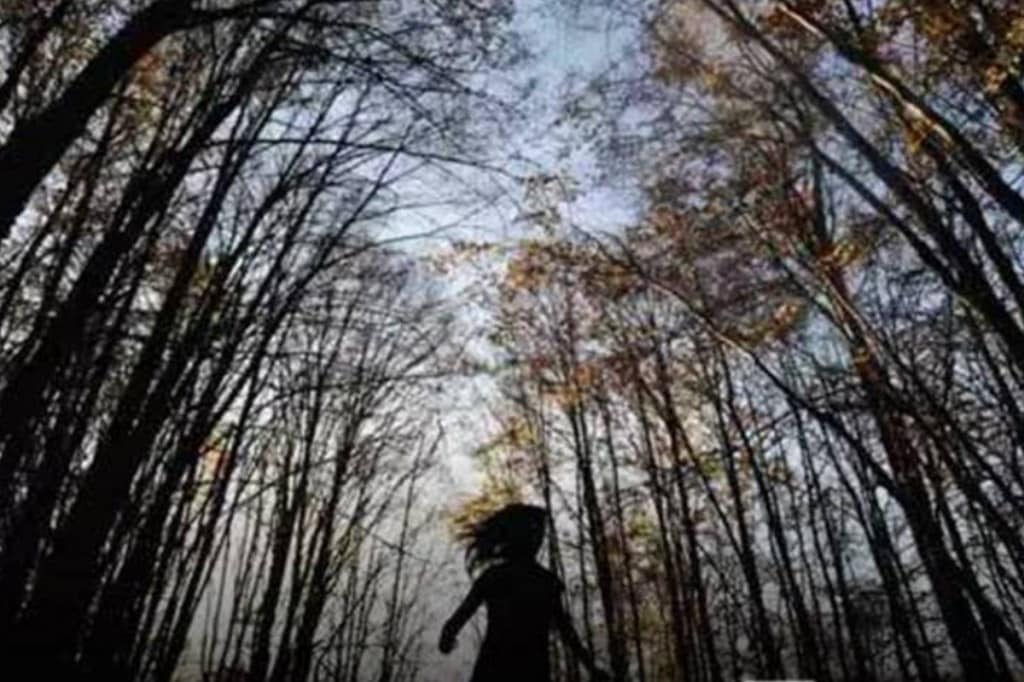 world environment day, environment day, environment day poster, environment day drawing, world environment day theme 2021, ecosystem restoration, world environment day poster, environment, environment day quotes, june 5, world environment day 2021, ecosystem restoration poster, poster on world environment day, environment day speech in English, world environment day drawing, United Natios, Environment Day Significance world environment day, environment day, environment day poster, environment day drawing, world environment day theme 2021, ecosystem restoration, world environment day poster, environment, environment day quotes, june 5, world environment day 2021, ecosystem restoration poster, poster on world environment day, environment day speech in English, world environment day drawing, United Natios, Environment Day Significance