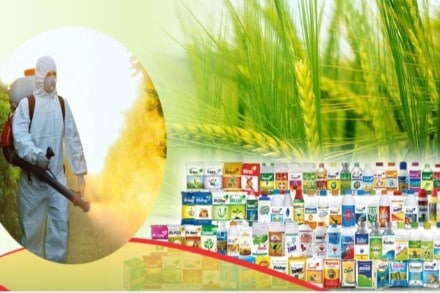 India Pesticides IPO, India Pesticides price band India Pesticides IPO, India Pesticides price band