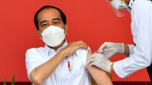 Indonesia, Indonesia population, Indonesia vaccination, WHO, fresh surge of coronavirus infections in Infonesia, President Joko Widodo, vaccination in Indonesia