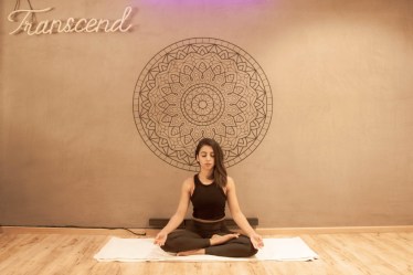 ypga, face ypga, desk ypga, importance of ypga, ypga lifestyle, high intensity ypga, ypoga props