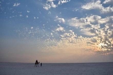 Gujarat’s State Action Plan on Climate Change, Gujarat Cm Vijay Rupani, Gujarat Climat Change Fund, rise in mean temperature in gujarat, rise in precipitation, sttae committee on climate change