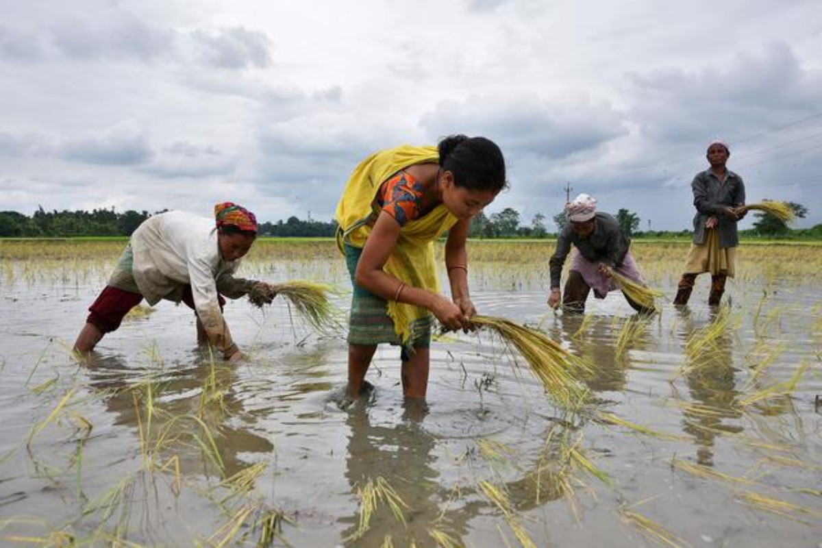 Monsoon, Indian agriculture, Kharif, rabi