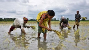Monsoon, Indian agriculture, Kharif, rabi