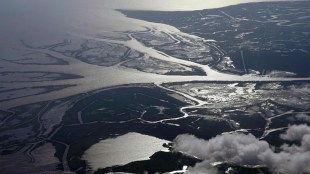 NASA Louisiana delta system