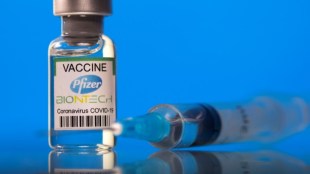 Pfizer, Pfizer in India, Pfizer Covid vaccine, Pfizer corona vaccine, coronavirus, corona vaccine, covid vaccine news