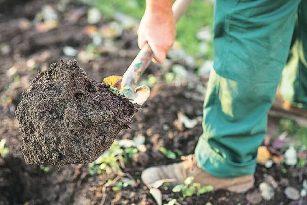 Mathematical models can better represent natural systems and such models are being developed all over the world to understand the leaching patterns in various types of soil.