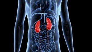 World Kidney Cancer Day