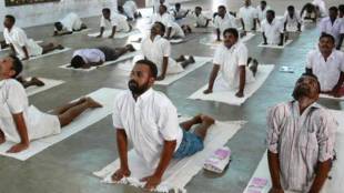 ypga, meditation, ayurveda, World Yoga day, Pranayama, Nadi Shodhan Pranayama: , Kapalbhati