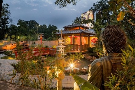 zen garden, kaizen academy