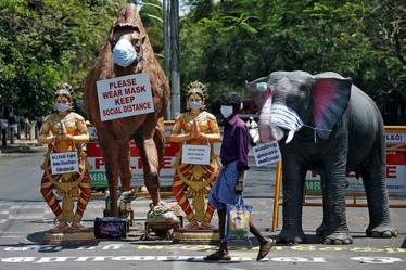 Tamil Nadu lockdown update: Bus, Metro Rail services to resume in Chennai; TN govt eases more curbs