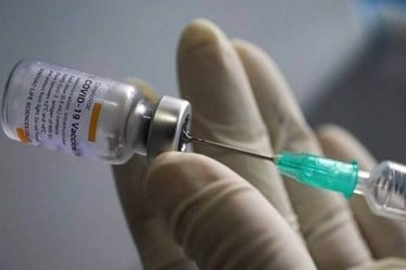 Corbevax, Biological e, everything about Corbevax, spike proteon vaccine, SARS-CoV-2, Covid vaccine, government orders for Corbevax