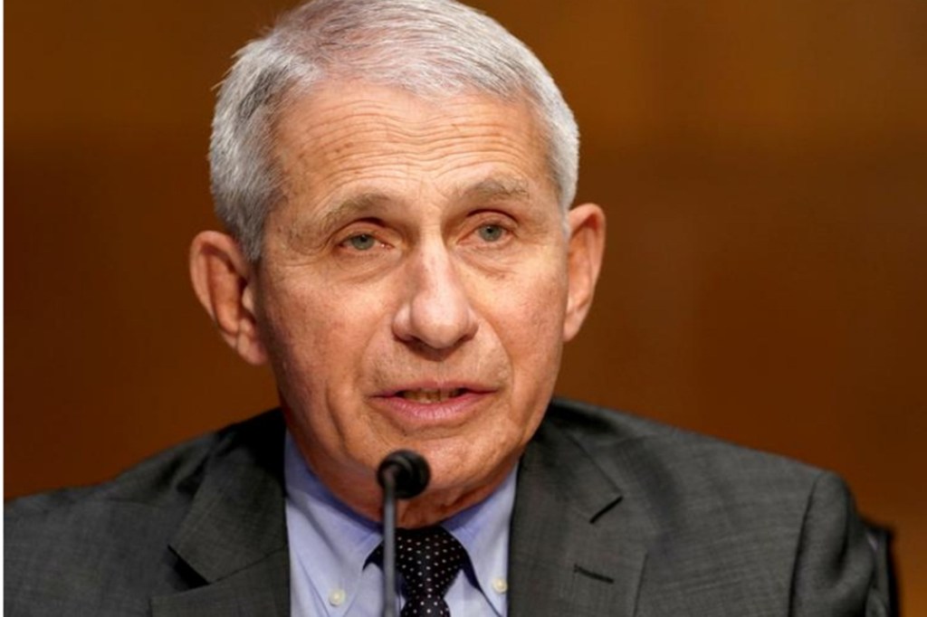 dr anthony fauci