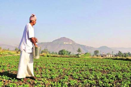 price-locking at sowing time , farmer producer organizations, options familiarisation programme for FPOs, increasing yield of their crops, market regulator Sebi. price-locking at sowing time , farmer producer organizations, options familiarisation programme for FPOs, increasing yield of their crops, market regulator Sebi.