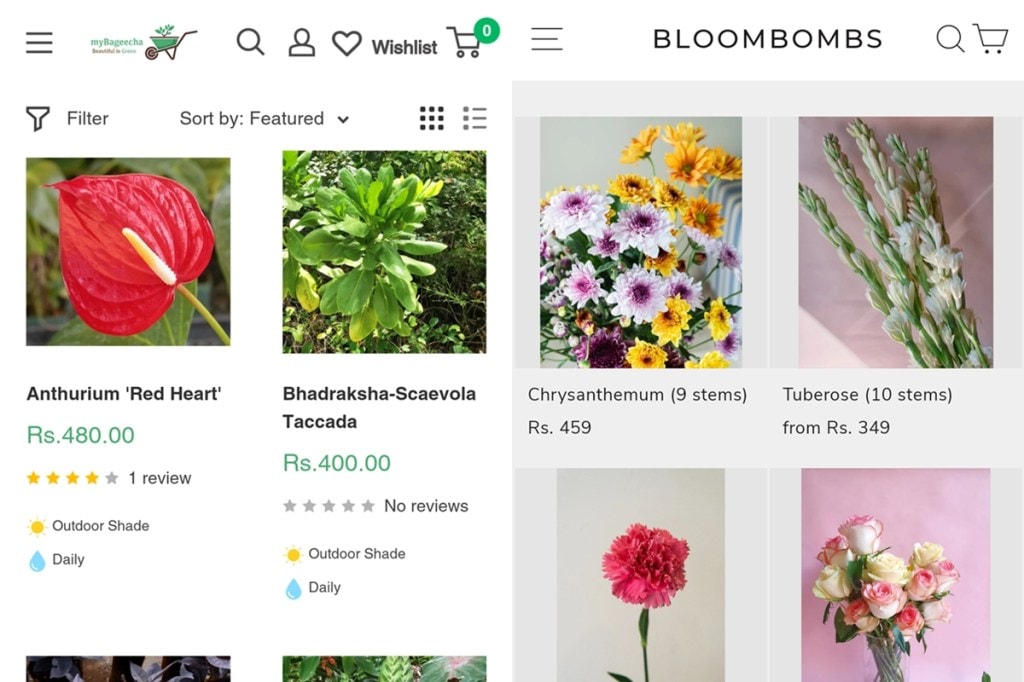 For now, purchasing botanical products remains a metro and tier I phenomenon, and the same is true for kitchen gardening. 