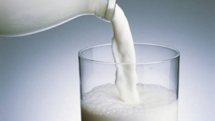 “The diversification has paid off,” said Ritwik Bahuguna, partner, agriculture, dairy and food-processing division, Wazir Advisors.