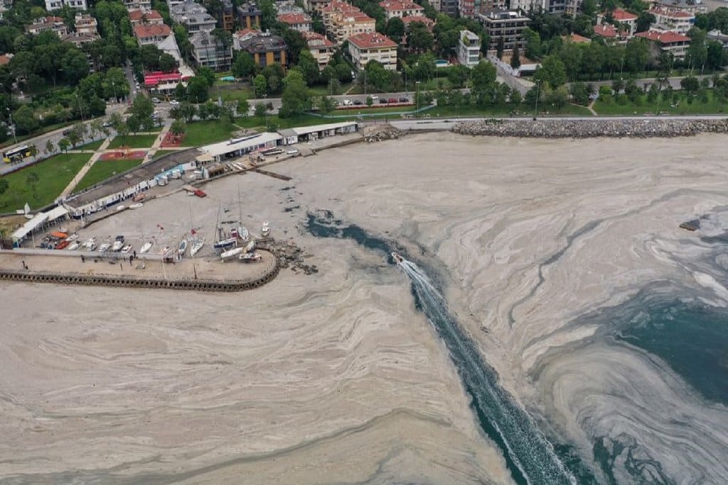 The country’s President has blamed it on the dumping of sewage in the sea along with rising temperatures. Image: Reuters