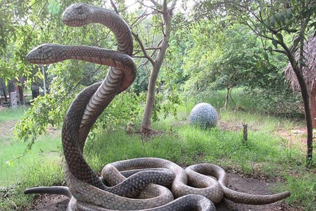 The park is a home for exotic species of turtles, lizards, 300 reptiles and 20 species of snakes. Image: IE