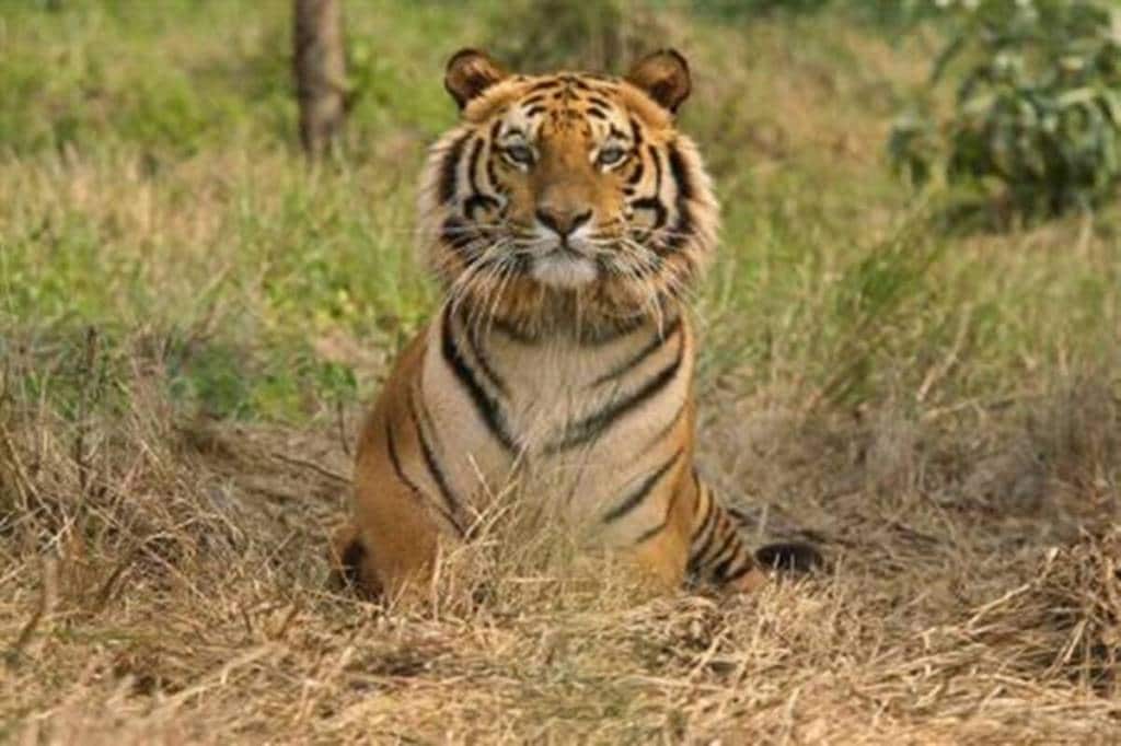 Wildlife experts have been opposed to the move saying it will not be good for animals inhabiting the reserves.