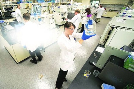 The third generation of synthetic biology companies are growing exponentially, Paul-Bunyan-like. In North America, companies are voraciously engineering their ecosystems.