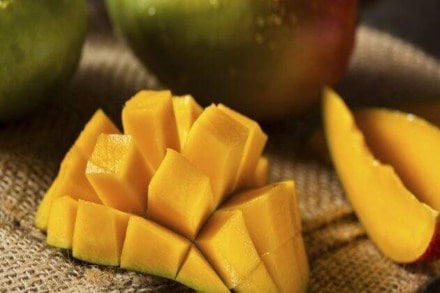 While most of the states in India have mango plantations, Uttar Pradesh, Bihar, Andhra Pradesh, Telangana and Karnataka have a major share in total production of the fruit. (Representative image)