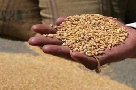Under the scheme, all the beneficiaries under the National Food Security Act (NFSA) are entitled to receive same amount of rice and wheat — 5 kg per person per month — extra, free of cost.
