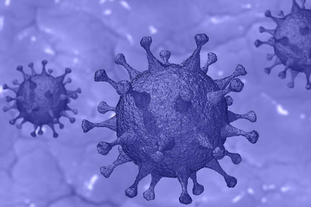 Addressing a press conference on the pandemic situation, an official said people cannot and should not lower their guard.
