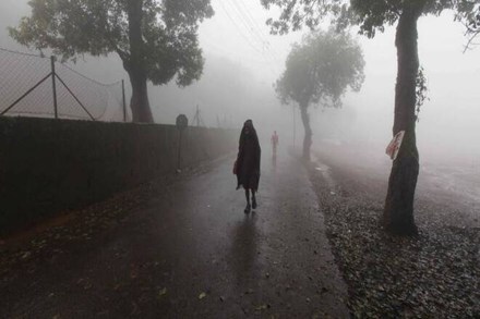 It (orange alert) also forecasts similar weather in Rajgarh, Guna, Sheopur, Shivpuri, and Ashoknagar districts. 

