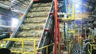 However, besides these positives, PLI for enhancing ethanol production might also lead to certain unintended adverse consequences.