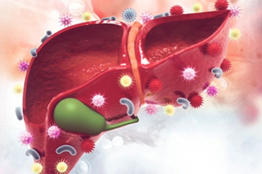 World Hepatitis Day 2021, History of World Hepatitis Day