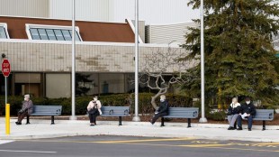 Lambda COVID-19 cases in canada