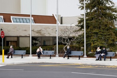 Lambda COVID-19 cases in canada