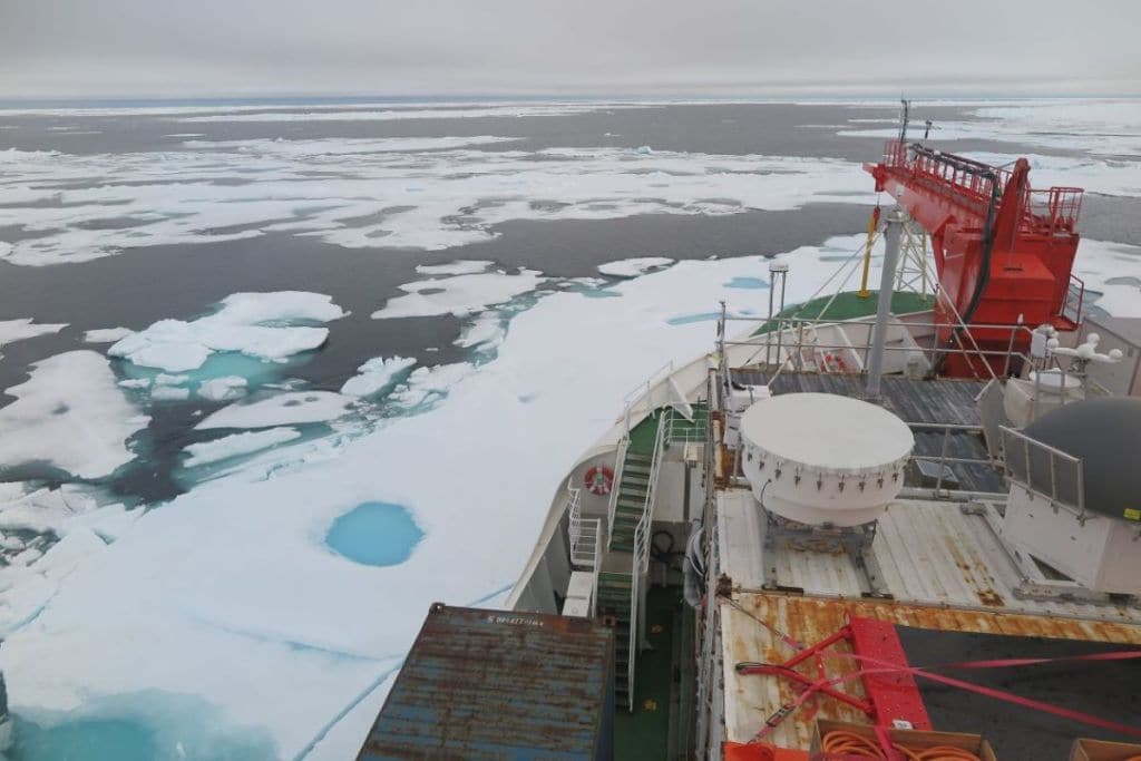LIA is a key area that scientists were banking upon to support ice-dependent species when the nearby ice was melting away. (Image: Felix Linhardt/Kiel University)
