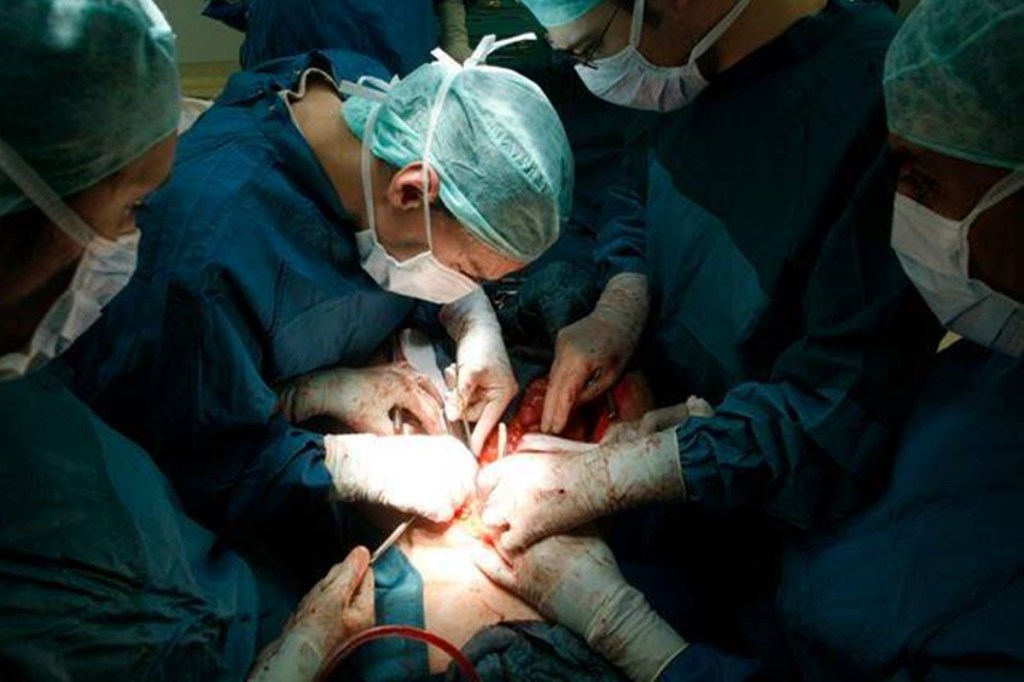 2019, the Government of India, the National Organ Transplant Programme, deceased organ donation, Transplantation of Human Organs and Tissues Act