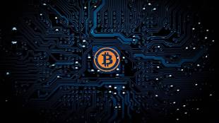 total number of cryptocurrency investors in india