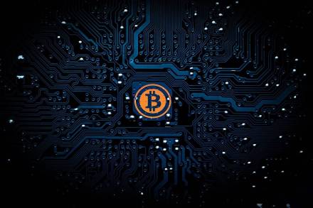 total number of cryptocurrency investors in india