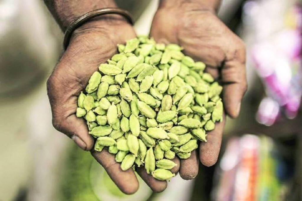 cardamom