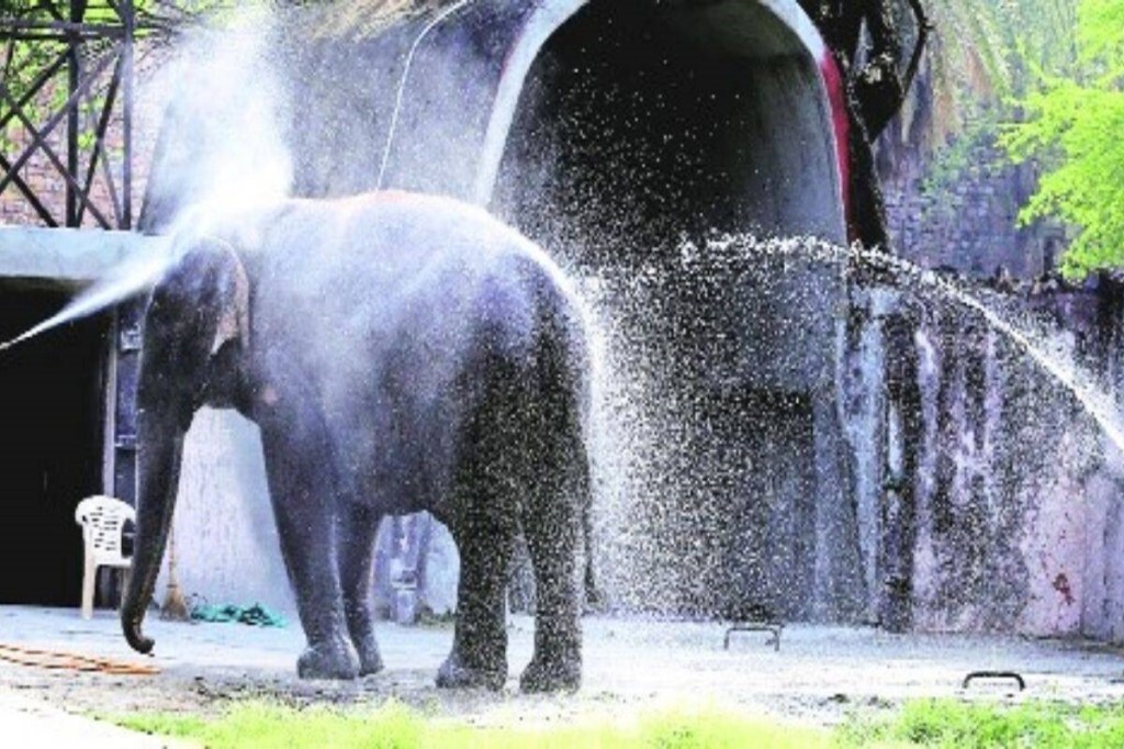 Delhi zoo