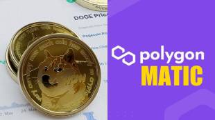 dogecoin vs matic which is better