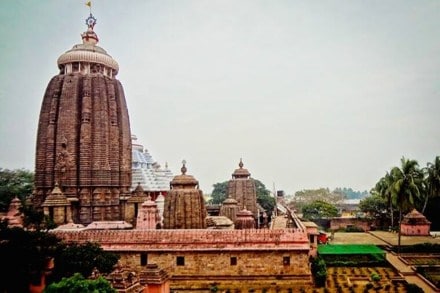 Odisha govt, Odisha govt news, odisha news