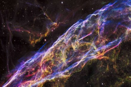 The supernova which has been named SN 2020ank first came to light when the Zwicky Transient Facility traced it in January last year. (Representative image) The supernova which has been named SN 2020ank first came to light when the Zwicky Transient Facility traced it in January last year. (Representative image)