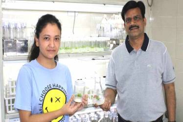 Dr Pati further said that the health experts are looking for a drug to mitigate the pulmonary fibrosis, the solo plant can be one of their answers. (Credit: The Indian Express)