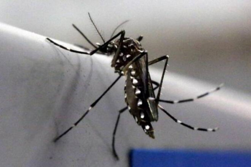 The Minister on Sunday had said that hospitals had been instructed to test those patients, especially pregnant women, with fever, rashes and body pain.