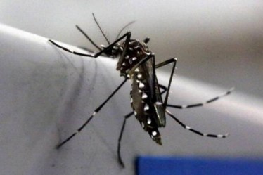 The Minister on Sunday had said that hospitals had been instructed to test those patients, especially pregnant women, with fever, rashes and body pain.