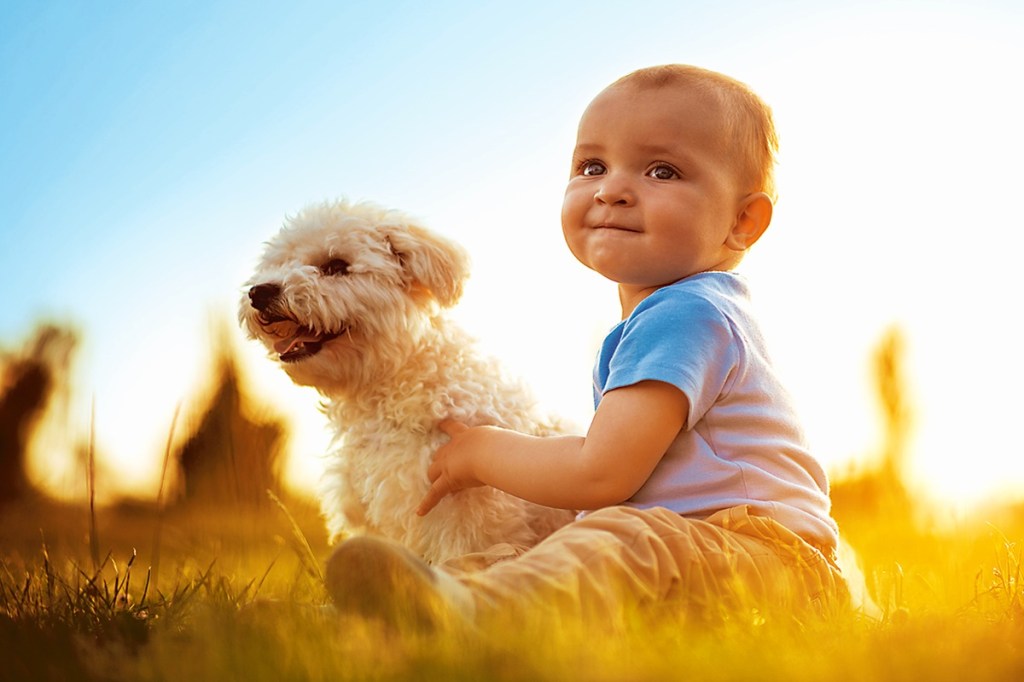 Other research has shown that a dog’s ability to learn is influenced, not just by hand signals, but also by overall body language and the distance between trainer and dog.